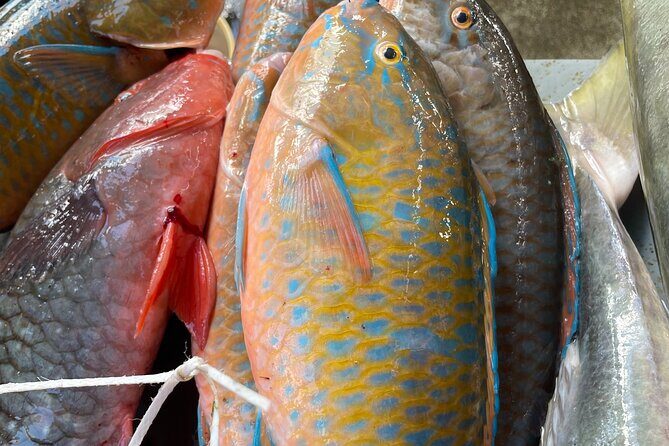 5 Hour Private Customize Tour of Mahe, Seychelles - Final Thoughts: Is It Worth It?
