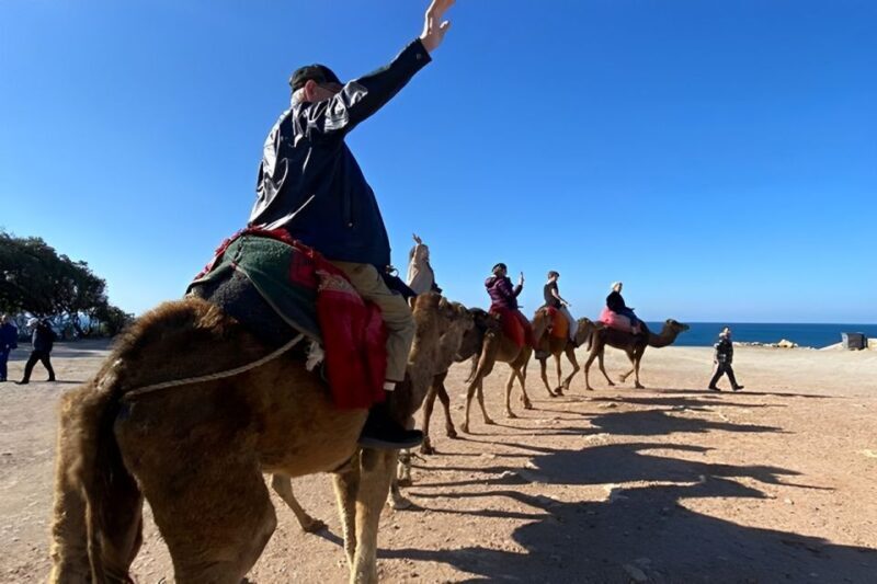 5 hour Private Tangier Tour - Who Should Book This Tour?