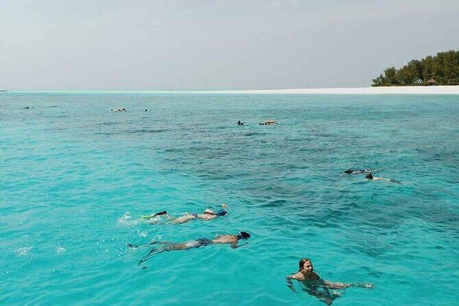 5-Hour Snorkeling, Swimming with Dolphins and Sea Turtles Aquarium - What to Expect on this Marine Adventure in Zanzibar