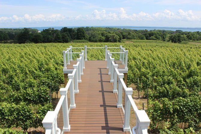 5-Hour Traverse City Wine Tour: 4 Wineries on Old Mission Peninsula - The Experience: What Sets This Tour Apart?