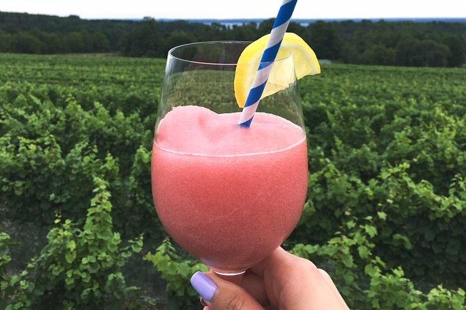 5-Hour Traverse City Wine Tour: 4 Wineries on Old Mission Peninsula - Final Thoughts: Who Is This Tour Best For?