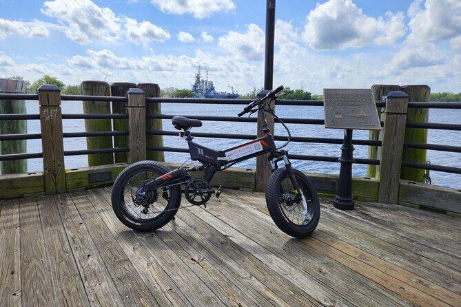 5-Hour Wilmington River to Sea E-Bike Self-Guided Adventure Tour - Authentic Experiences from Other Riders