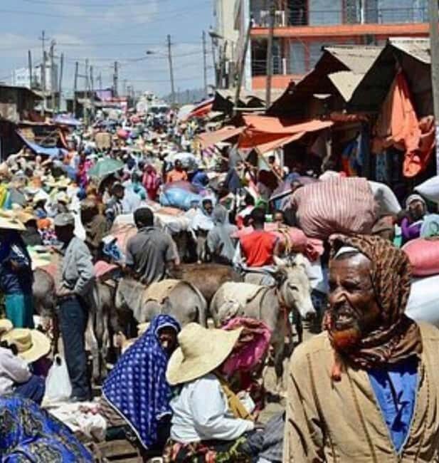 5 hours Addis Ababa Layover city tour - Practical Considerations and Value