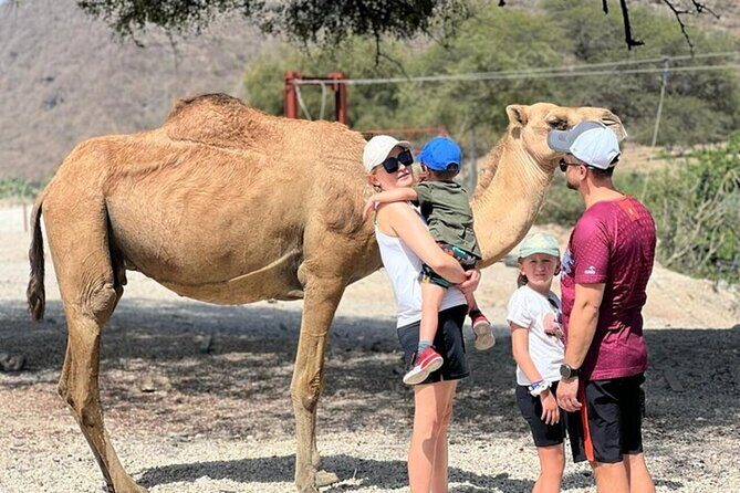 5 Hours of East Salalah Best (Private Tour) - The Value of the Experience