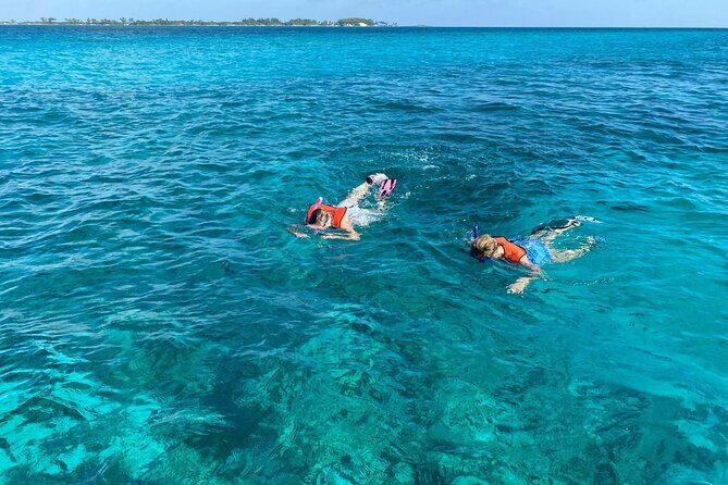 5 Hours Pigs and Turtles with Beach Stop in Bahamas - An Overview of the Tour Experience