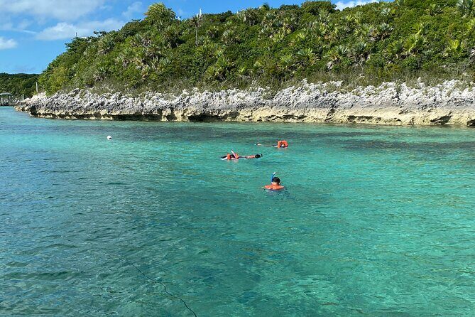 5 Hours Pigs and Turtles with Beach Stop in Bahamas - Transportation and Timing: Practical Details