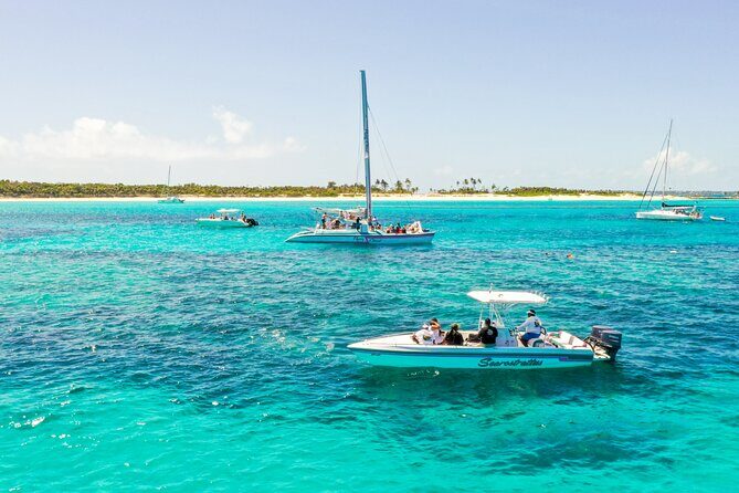 5 Hours Pigs and Turtles with Beach Stop in Bahamas - Authentic Experiences That Stand Out
