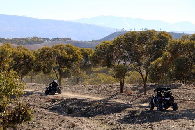 5 Hours Private Quad Excursion in the Heart of the Atlas with Lunch - The Experience: Why This Tour Stands Out
