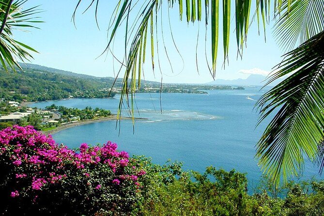 5 Hours Tahiti Island Tour - West and East Coast - Review Highlights & Traveler Perspectives