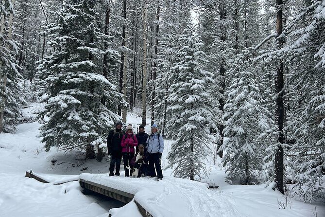 5 hours Winter Wonderland Guided Hike to Fullerton Loop - An In-Depth Look at the Fullerton Loop Hike