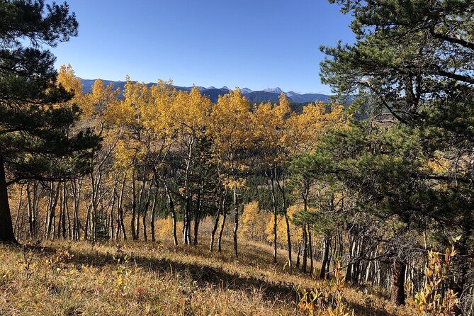 5 hours Winter Wonderland Guided Hike to Fullerton Loop - Who Will Love This Tour?