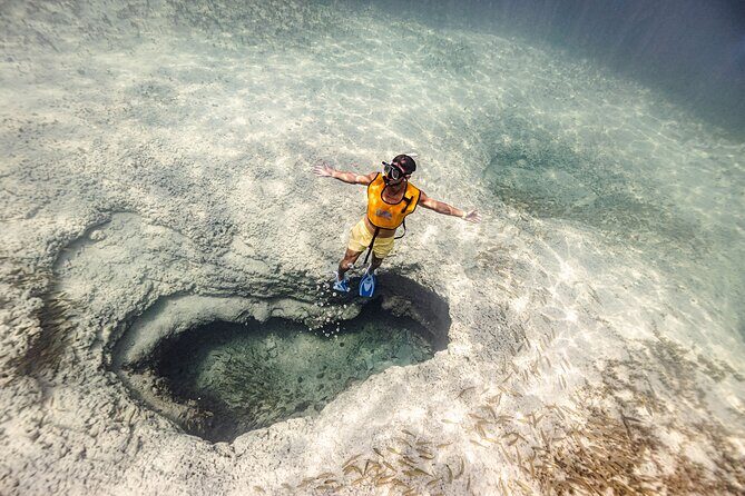5-in-1 Cancun Snorkeling Tour with Sea Life & Transport Included - Introduction: What makes this snorkel tour stand out?