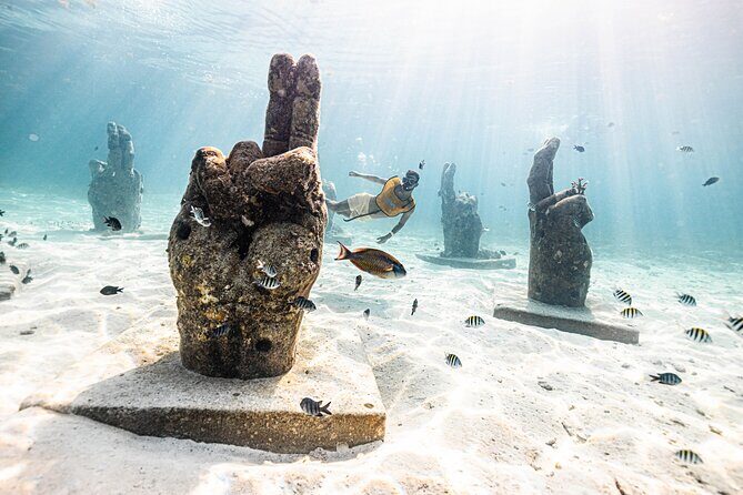 5-in-1 Cancun Snorkeling Tour with Sea Life & Transport Included - Who Will Love This Tour?