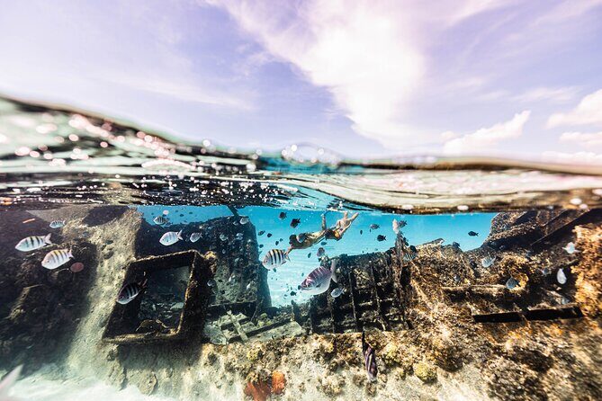 5-in-1 Cancun Snorkeling Tour with Sea Life & Transport Included - The Sum Up