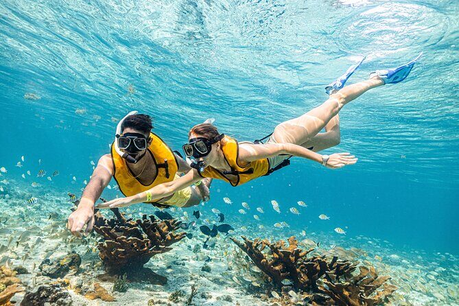 5-in-1 Cancun Snorkeling Tour with Sea Life & Transport Included - FAQ