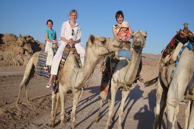 5 in 1 desert adventure in Sharm el Sheikh - Key Points