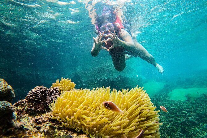 5 Islands Full-Day Tour Around Koh Tao and Koh Nangyuan - The Practical Side: Transportation, Group Size, and Timing