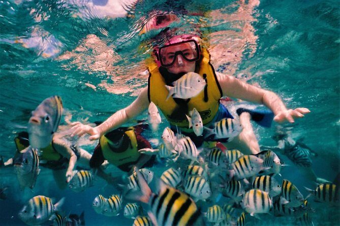 5 Islands Speedboat Cruise incl. Snorkeling in Blue Bay + Lunch at Ile aux Cerfs - Frequently Asked Questions (FAQs)