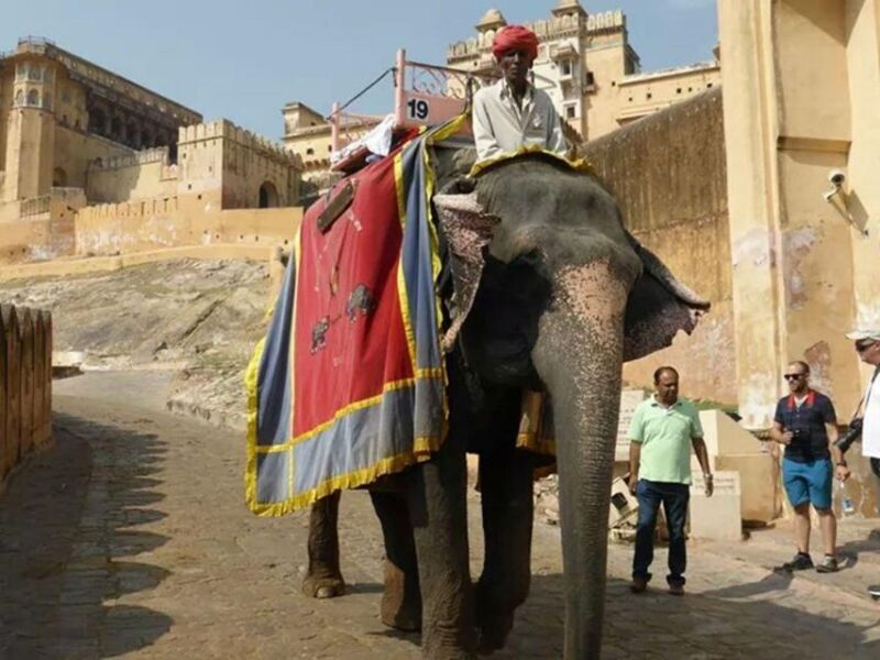 5 Nights 6 Days Golden Triangle India Tour with Ranthambore - How This Tour Delivers Value