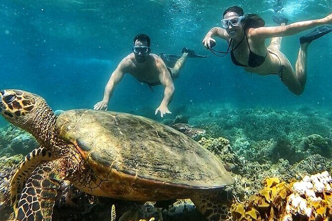 5 Secret Gili Snorkeling & Hoping Island from Gili Gede to Asahan - Authenticity and the Value of the Tour