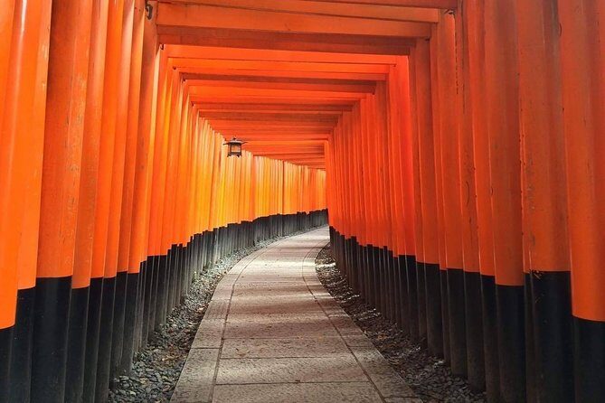 5 Top Highlights of Kyoto Full Day Bike Tour (E-bike option) - Key Points