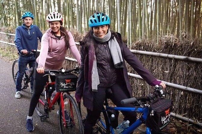 5 Top Highlights of Kyoto Full Day Bike Tour (E-bike option) - The Itinerary in Detail