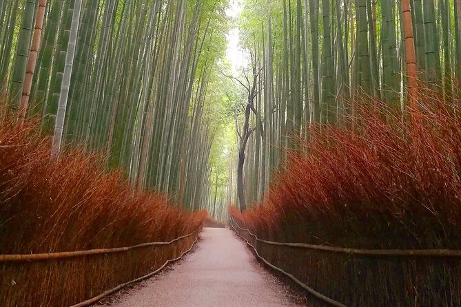 5 Top Highlights of Kyoto Full Day Bike Tour (E-bike option) - FAQ