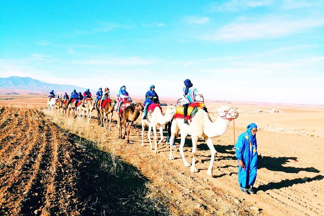 5 Valleys Atlas mountains day trip from Marrakech with camel ride - Key Points