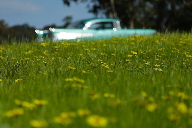 '56 Chevrolet 6-hr Yarra Valley Classic Car Private Tour (4 ppl) - Frequently Asked Questions