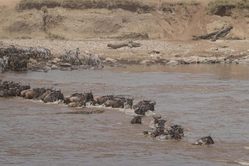 5Day of Wildlife Tarangire, Serengeti, Ngorongoro &Cultural - A Comprehensive Look at the 5-Day Tanzanian Safari Experience