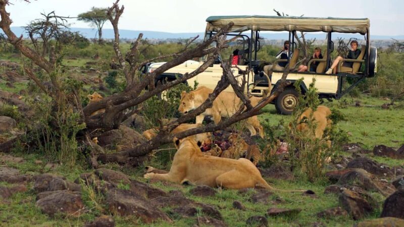 5days Hell's Gate, Lake Naivasha, Lake Nakuru and Masai Mara - Practicalities: What to Expect and Prepare
