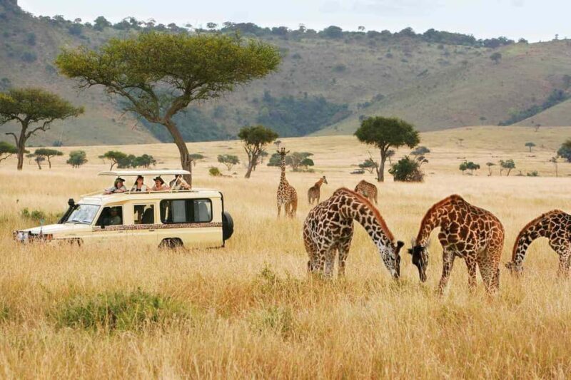 5days Hell's Gate, Lake Naivasha, Lake Nakuru and Masai Mara - The Sum Up