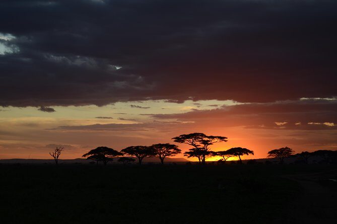 5days Tanzania Safari lodge and camping Serengeti, Tarangire & Ngorongoro Crater - Key Points