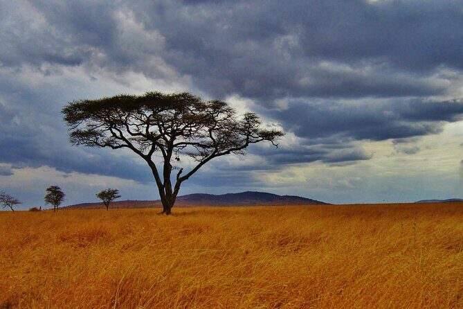 5days Tour Tsavo East & west, Amboseli from Mombasa / Nairobi - Practical Considerations