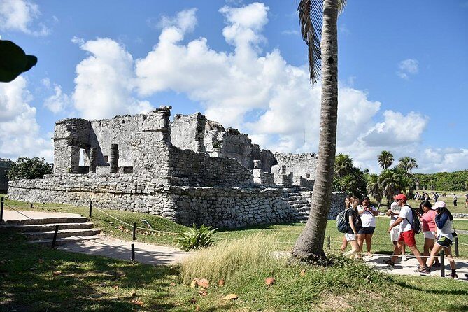 5x1 Deluxe Tour Tulum, Coba, Cenote Transportation from Tulum - Playa del Carmen’s Quinta Avenida: Urban Vibes and Shopping