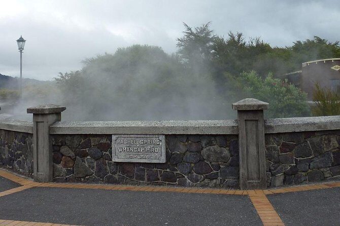 6.5 hour Small-Group Rotorua Naturally Shore Excursion - Tauranga - What To Expect in Terms of Experience
