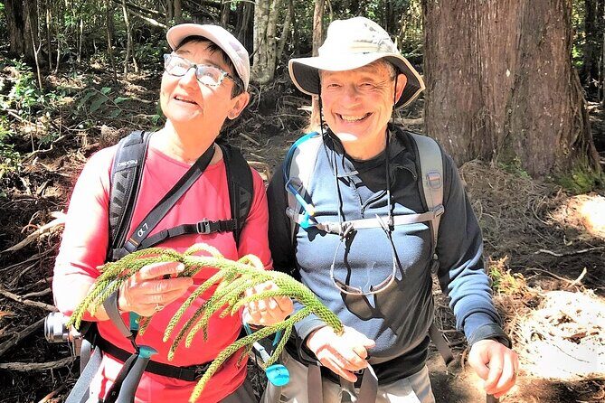 6-7 Hours Private Kauai's Hidden Gems Experience with Snacks - A Deep Dive into the Kauai’s Hidden Gems Tour