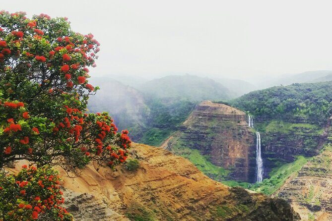 6-7 Hours Private Kauai's Hidden Gems Experience with Snacks - Final Thoughts