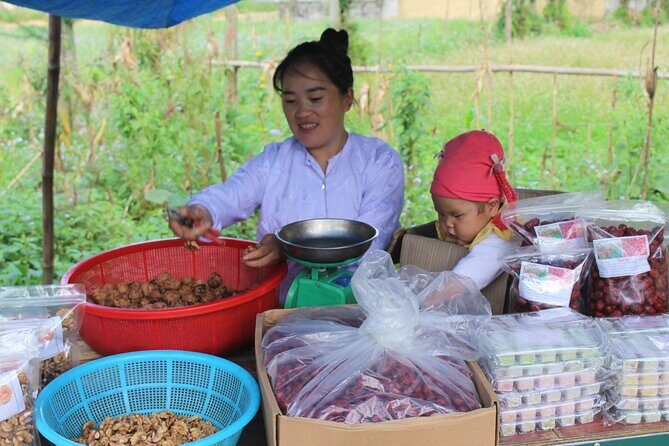 6 - 8 Day Vietnam Itinerary | Magnificent | Best 2025 Northern - A Closer Look at the Itinerary