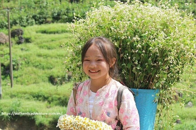 6 - 8 Day Vietnam Itinerary | Magnificent | Best 2025 Northern - Who Should Consider This Tour?