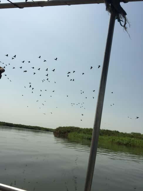 6 Day 5 Night Mundari and Dinka tribe & Sudd Swamp Tour - An In-Depth Look at the 6-Day Adventure