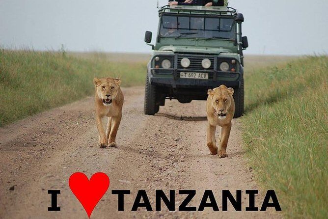 6- Day Adventure Lodge safari to see Migration - A Detailed Look at the Itinerary