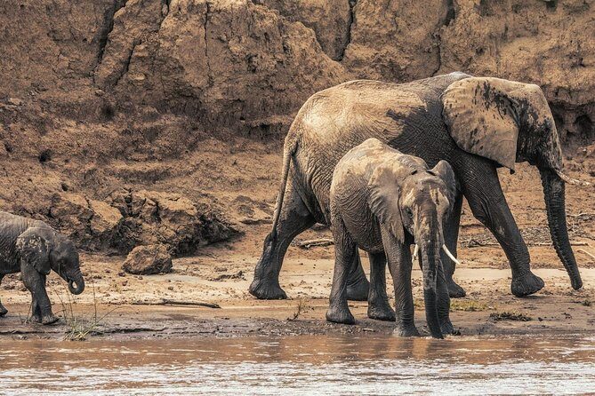 6 Day best of mid northern Kenya - Final Thoughts