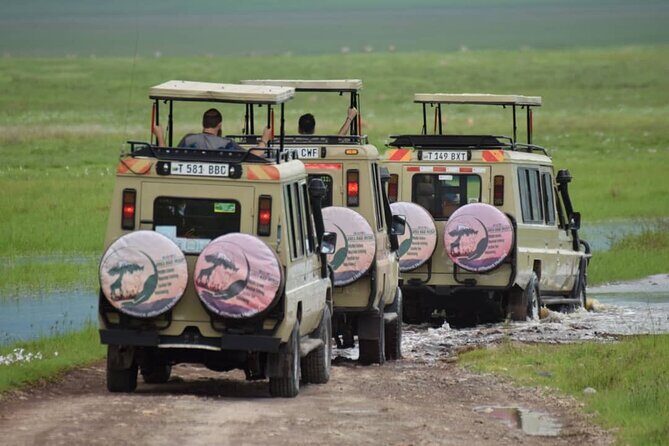 6-Day Big Five Magic Safari Tour - An Overview of the 6-Day Itinerary