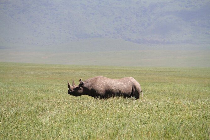 6-Day Big Five Magic Safari Tour - Final Thoughts