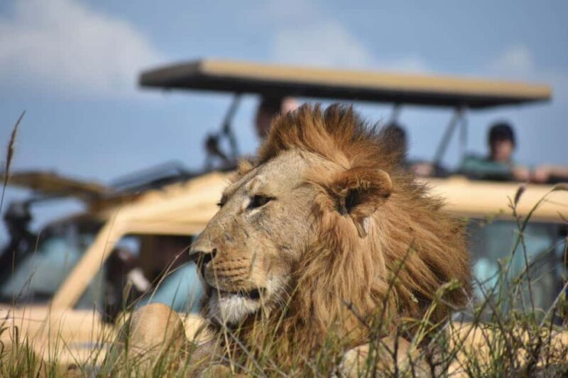 6-Day Comfort Safari to Tarangire, Serengeti, and Ngorongoro - An In-Depth Look at the 6-Day Itinerary
