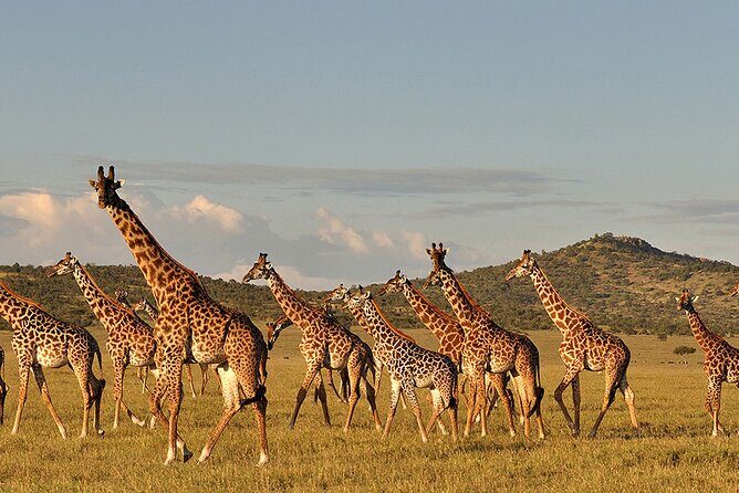6 Day: Epic Northern Safari - The Sum Up: Is This the Safari for You?