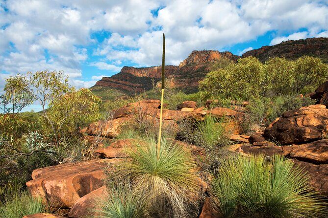 6-Day Eyre Peninsula & Flinders Ranges Adventure Tour - FAQ