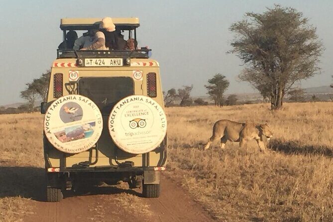6 Day Group Camping Safari Tarangire Serengeti Ngorongoro Manyara - What Makes This Tour Stand Out