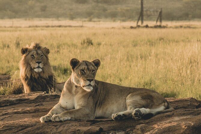 6 Day Group Camping Safari Tarangire Serengeti Ngorongoro Manyara - FAQ